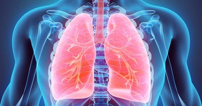 Vanzacaftor, tezacaftor, deutivacaftor similar to current cystic fibrosis standard of care