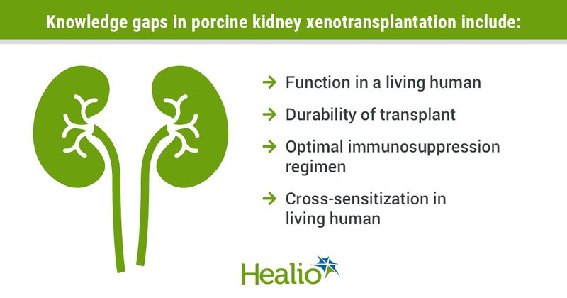 Infographic showing knowledge gaps in kidney xenotransplantation