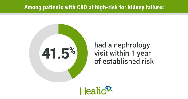 Infographic showing patients who attended a nephrologist visit