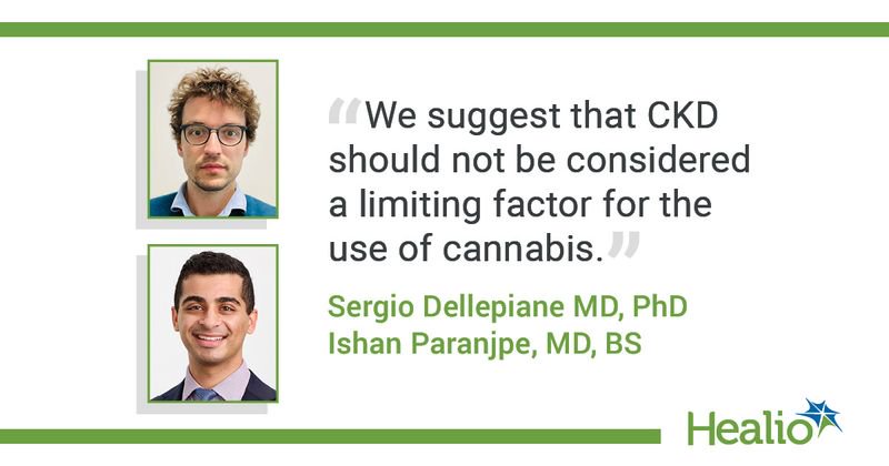 Sergio Dellepiane MD, PhD, and Ishan Paranjpe, MD, BS