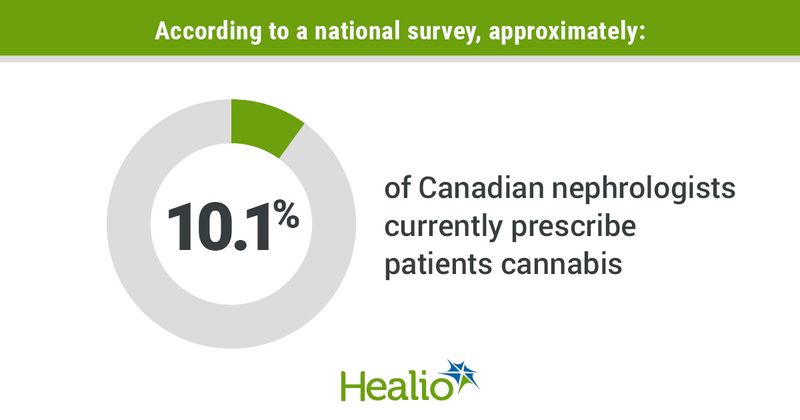 Infographic showing percentage of nephrologists prescribing cannabis