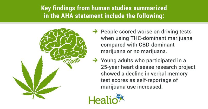 infographic with data on marijuana and the brain