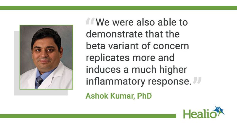 "We were also able to demonstrate that the beta variant of concern replicates more and induces a much higher inflammatory response,” Ashok Kumar, PhD