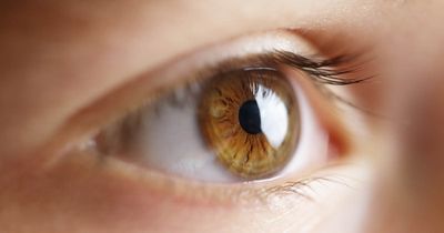 Study of atropine-based myopia treatment fails to meet primary efficacy endpoint 