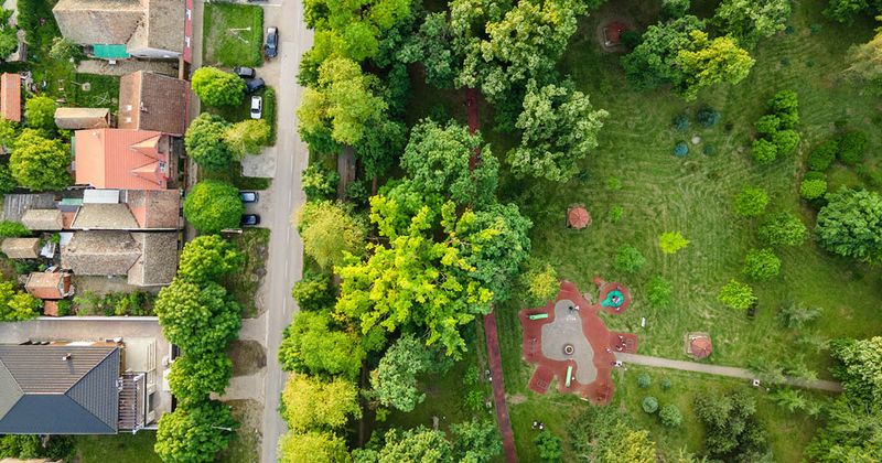 aeriel view of green space