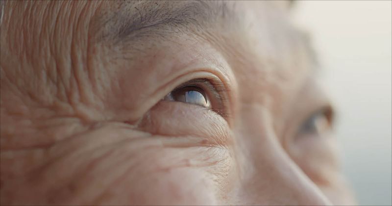 older persons eye