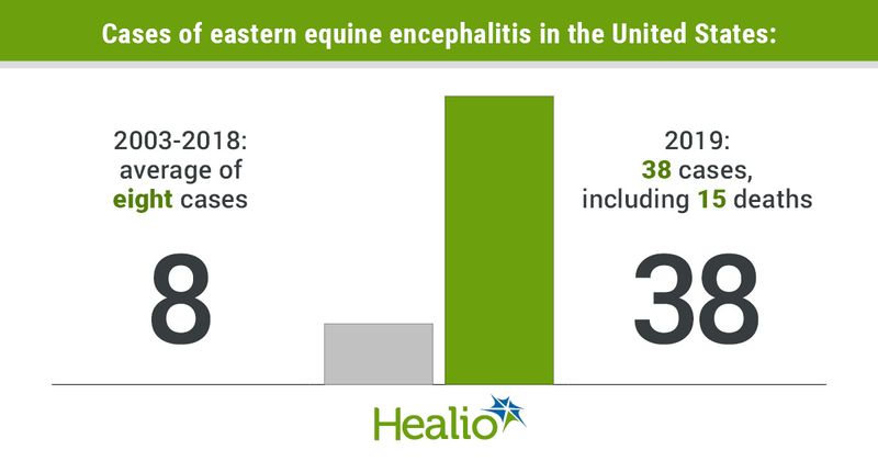 Encaphalitis infogrpahic