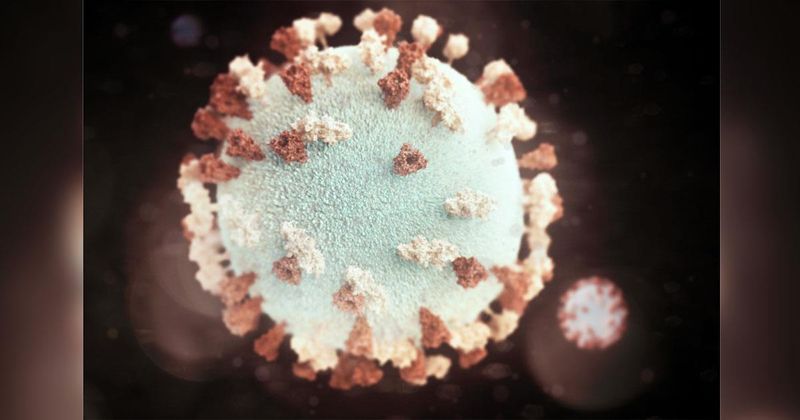 Mumps virus