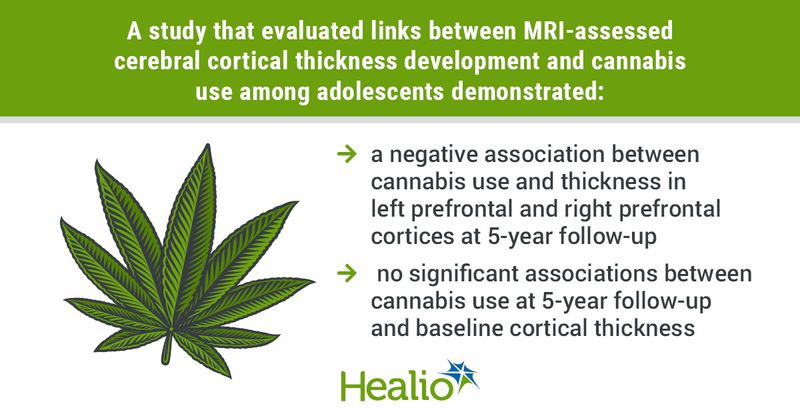 infographic with cannabis leaf, data from study that assessed effects of cannabis use on adolescents' neurodevelopment