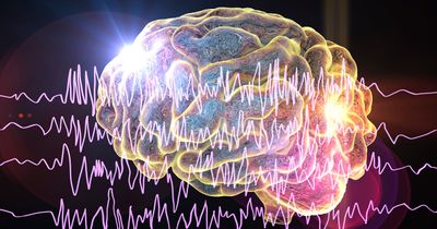 Polygenic risk scores shed light on familial epilepsy burden