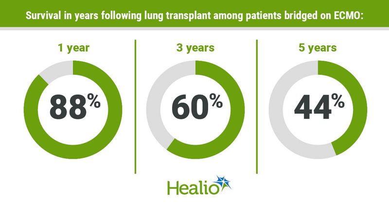 Infographic showing survival in years following lung transplant among patients bridged on ECMO.