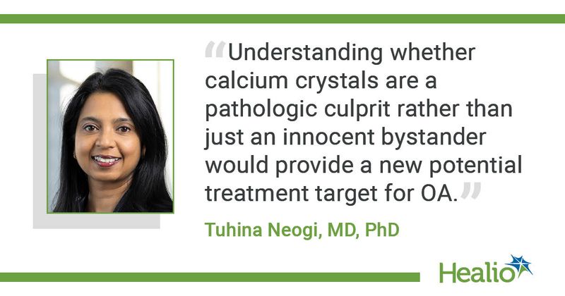 A quote from Tuhina Neogi, MD, PhD, saying, "Understanding whether calcium crystals are a pathologic culprit rather than just an innocent bystander would provide a new potential treatment target for OA."