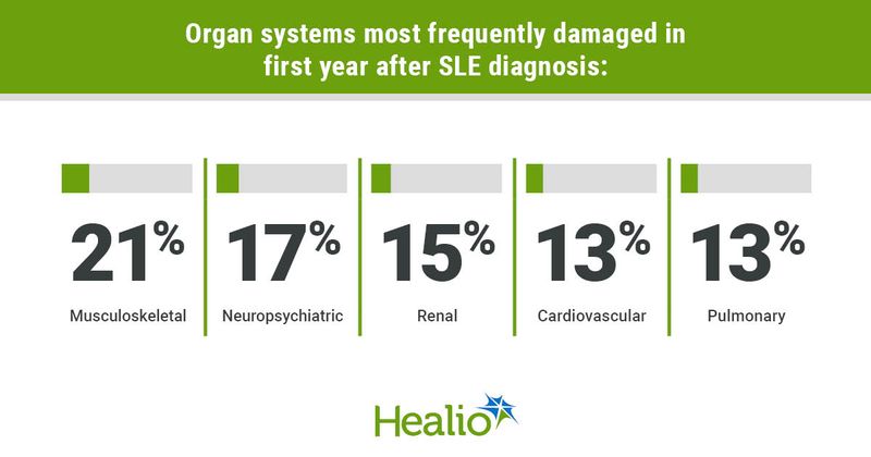 Organ systems most frequently damaged in the first year after SLE diagnosis include musculoskeletal (21%), neuropsychiatric (17%), renal (15%), cardiovascular (13%) and pulmonary (13%).