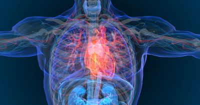 In PCI for MI, spironolactone does not meet primary endpoints but may show benefit in HF