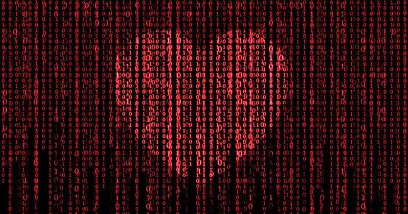 Heart matrix_Adobe Stock