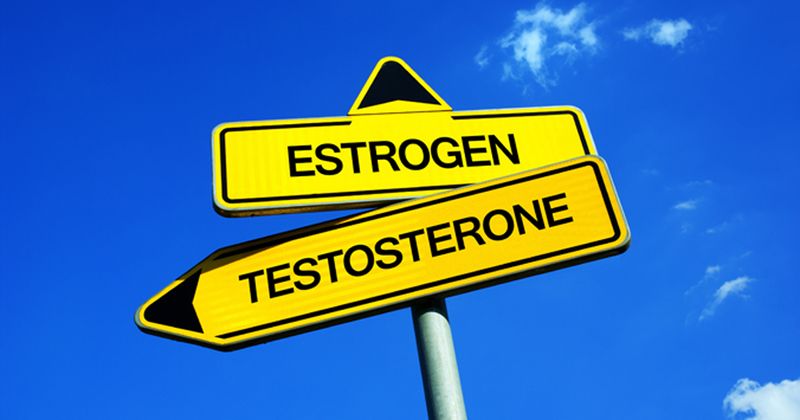 Estrogen and testosterone 2019