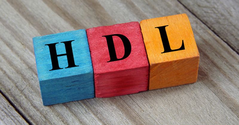 HDL blocks 2019