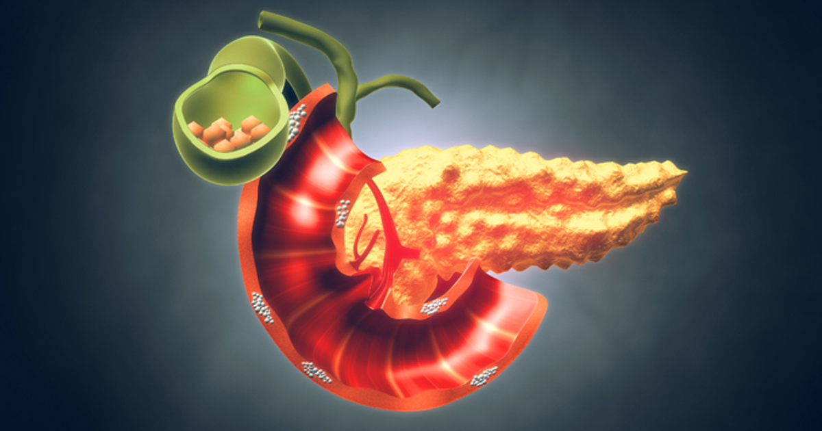 anatomy of a pancreas