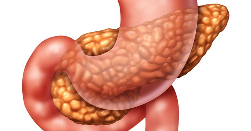 pancreas