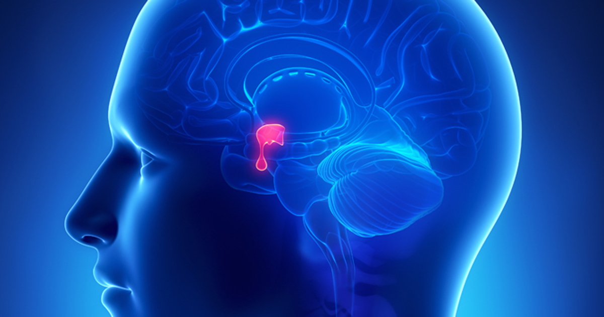 Pituitary gland 2019