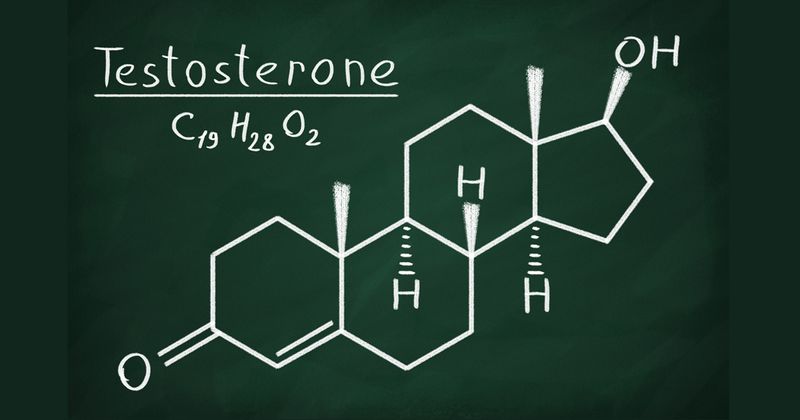 Testosterone drawing Adobe