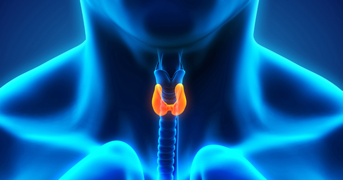 Thyroid anatomy 2019