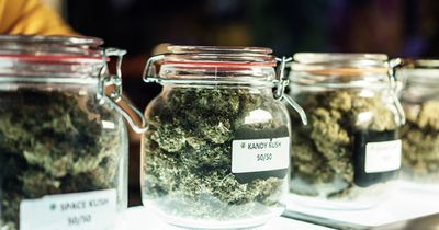 People who need hospital-based care for cannabis use disorder at a greater risk for death