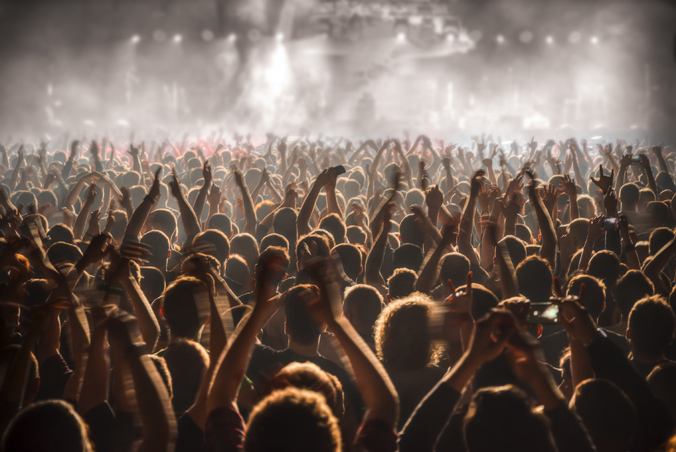 Crowd at Concert