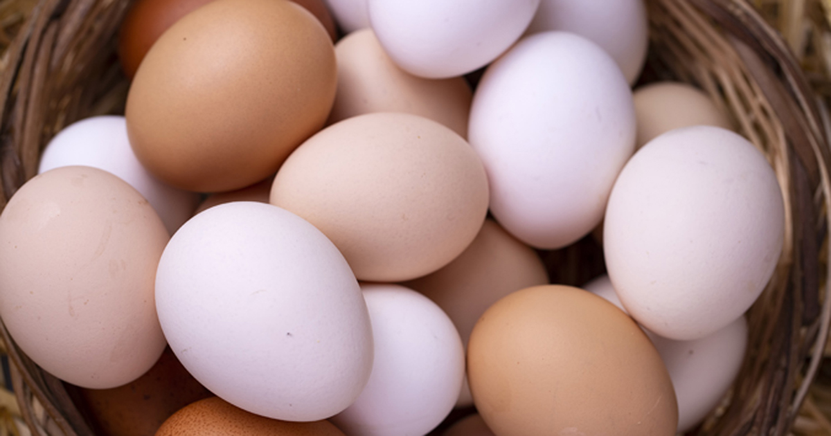 Brown and white eggs