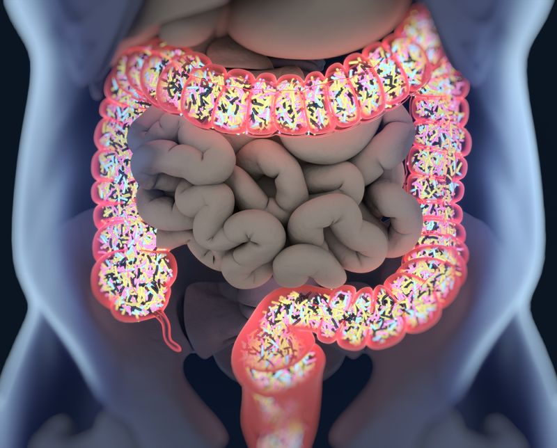 Gut bacteria microbiome