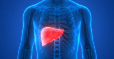 Mycophenolate &lsquo;comparable, if not better&rsquo; than azathioprine for autoimmune hepatitis