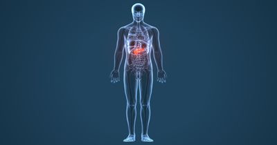 Zegocractin &lsquo;holds promise&rsquo; for reducing organ failure, necrosis in acute pancreatitis