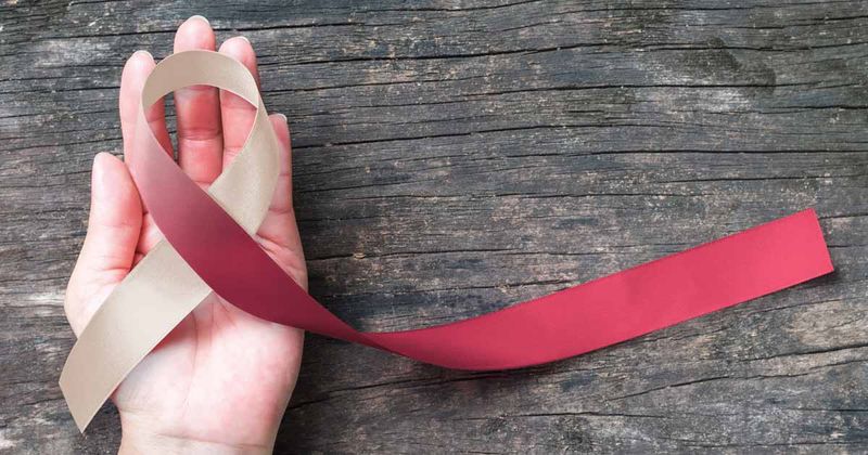 Head and neck cancer symbolic burgundy ivory white color ribbon isolated on human hand.