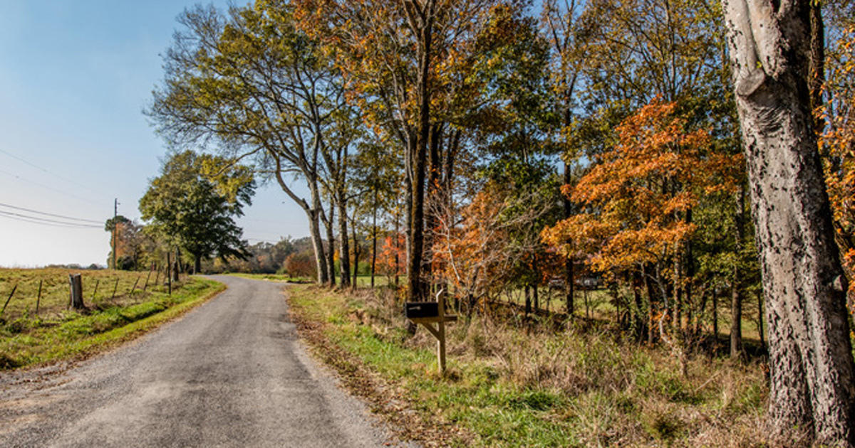 Country road in autumn