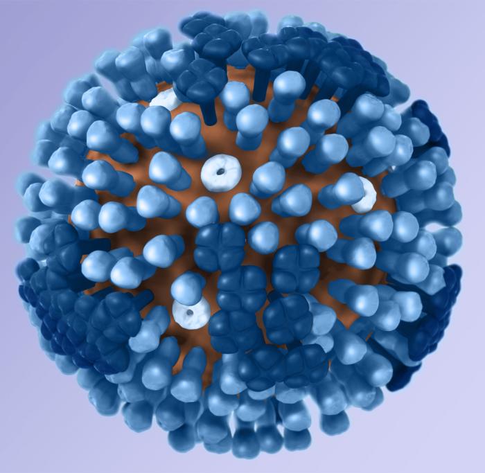 Image of influenza virion