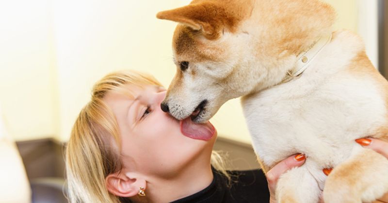 Photo of a dog licking a woman's face