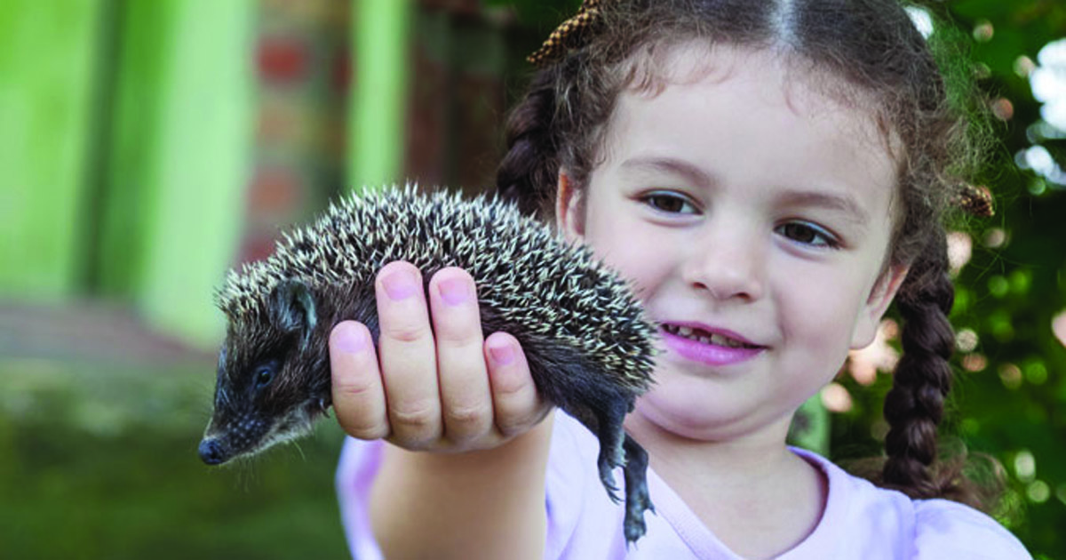 GIrl holding a hedgehog