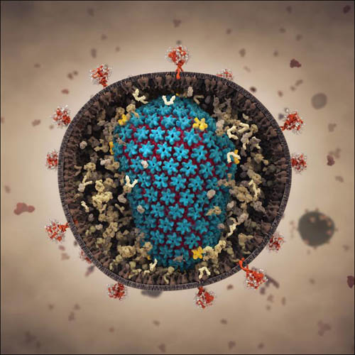 Photo representation of an HIV capsid