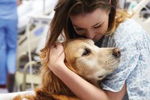 hospital therapy dog