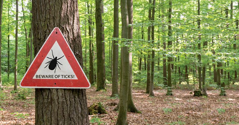 Tick warning sign