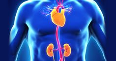 Cardiorenal Metabolic Syndrome