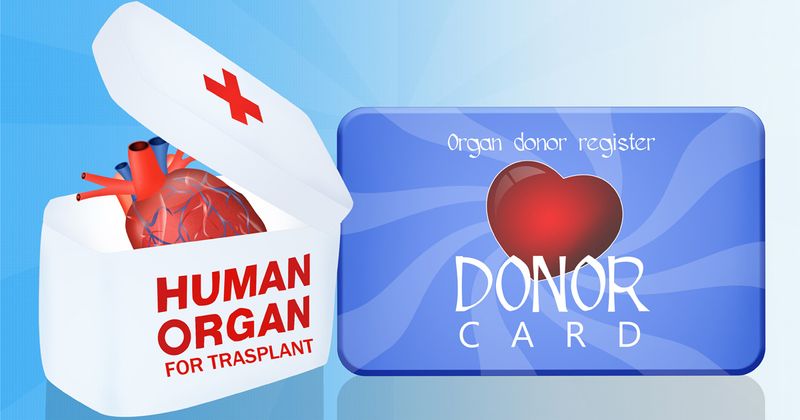 organ donor card