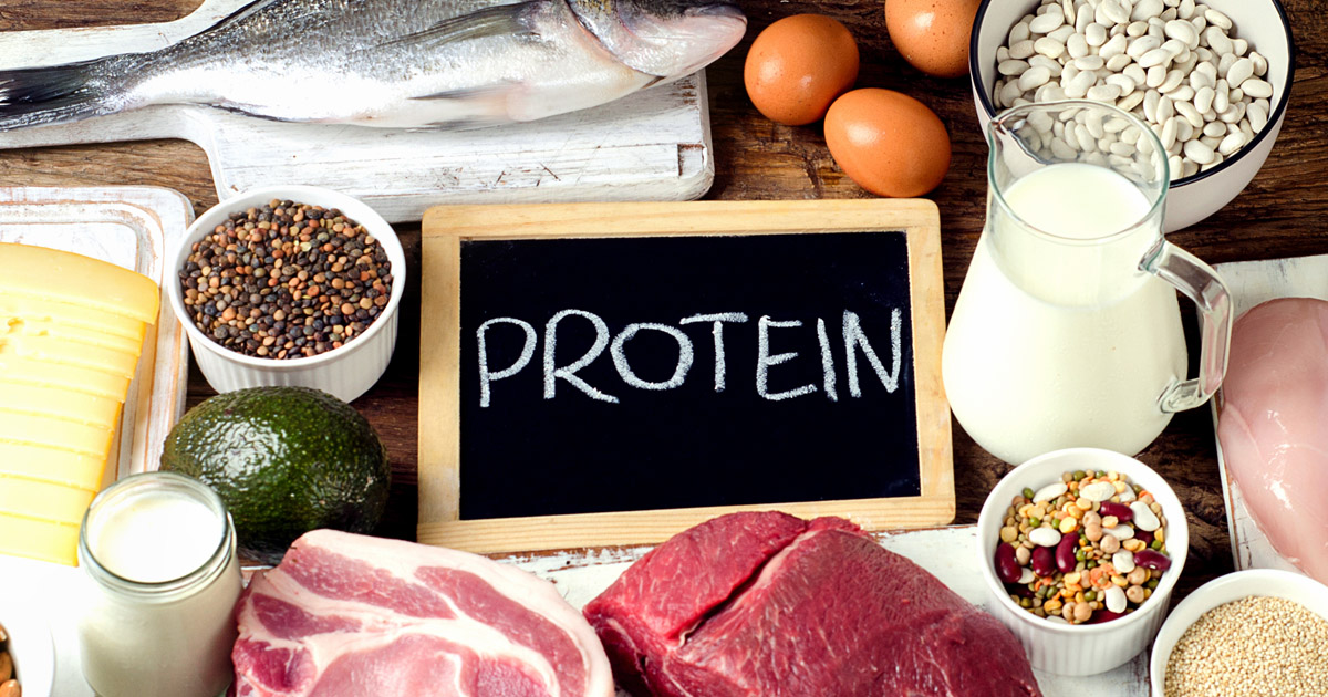 foods high in protein