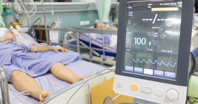 AI helps ICU clinicians &lsquo;find the signal in the background&rsquo;