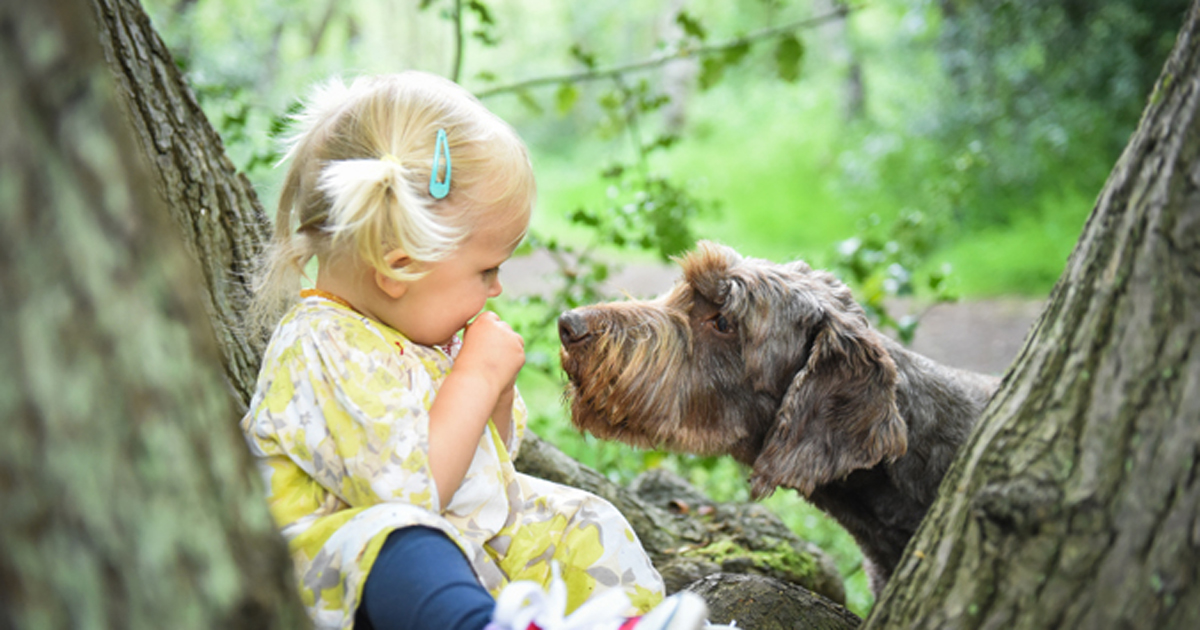 Young girl with dog in the woods