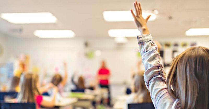 Schoolchildren (Adobe Stock)