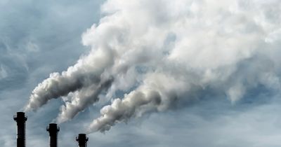 Exposure to nitrogen oxides, particulate matter increase risk for autoimmune disease