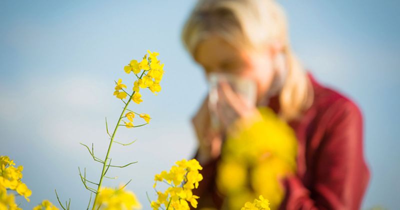 Adult female with allergies