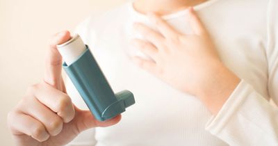 COPD inhaler adherence rises with lower cost sharing, medication management service invite