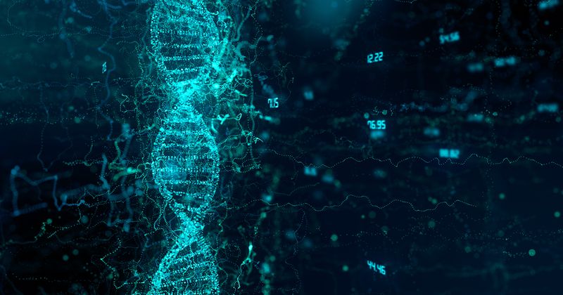 Photo of DNA double helix